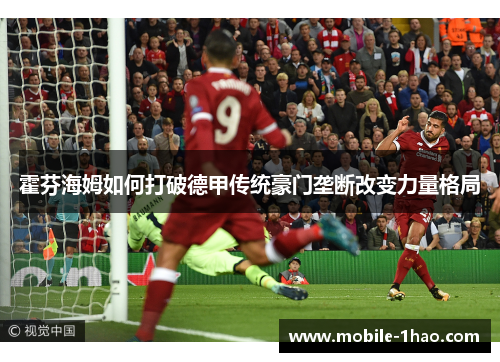 霍芬海姆如何打破德甲传统豪门垄断改变力量格局