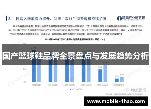 国产篮球鞋品牌全景盘点与发展趋势分析 国产篮球鞋品牌全景盘点与发展趋势分析