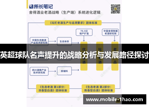 英超球队名声提升的战略分析与发展路径探讨 英超球队名声提升的战略分析与发展路径探讨