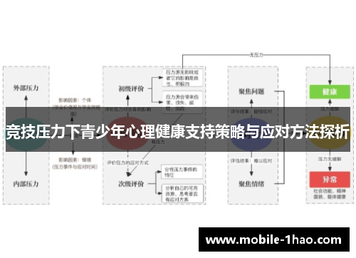 竞技压力下青少年心理健康支持策略与应对方法探析