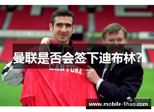 曼联是否会签下迪布林？
