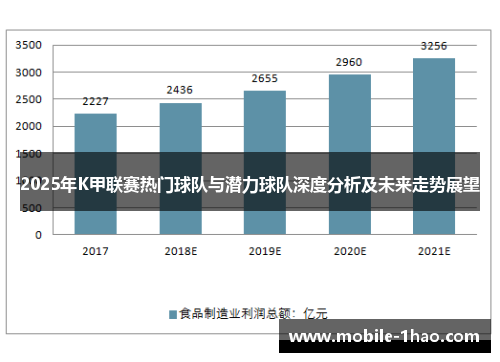 2025年K甲联赛热门球队与潜力球队深度分析及未来走势展望