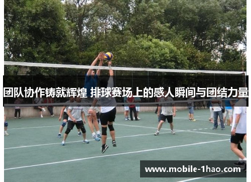 团队协作铸就辉煌 排球赛场上的感人瞬间与团结力量 团队协作铸就辉煌 排球赛场上的感人瞬间与团结力量