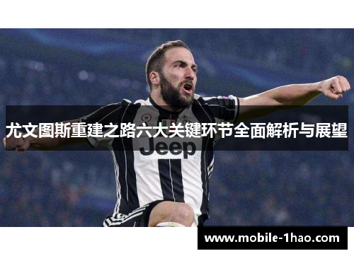 尤文图斯重建之路六大关键环节全面解析与展望 尤文图斯重建之路六大关键环节全面解析与展望