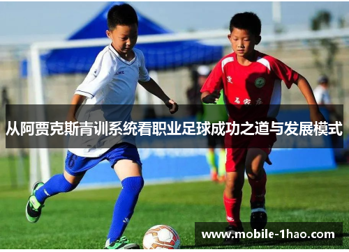 从阿贾克斯青训系统看职业足球成功之道与发展模式 从阿贾克斯青训系统看职业足球成功之道与发展模式