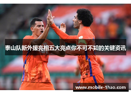 泰山队新外援亮相五大亮点你不可不知的关键资讯