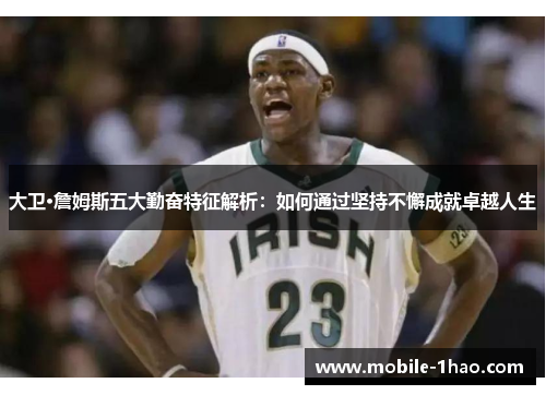 大卫·詹姆斯五大勤奋特征解析:如何通过坚持不懈成就卓越人生 大卫·詹姆斯五大勤奋特征解析:如何通过坚持不懈成就卓越人生