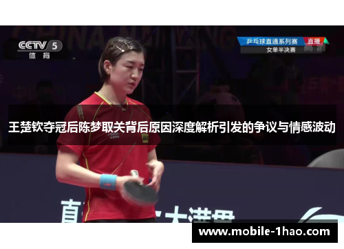 王楚钦夺冠后陈梦取关背后原因深度解析引发的争议与情感波动 王楚钦夺冠后陈梦取关背后原因深度解析引发的争议与情感波动