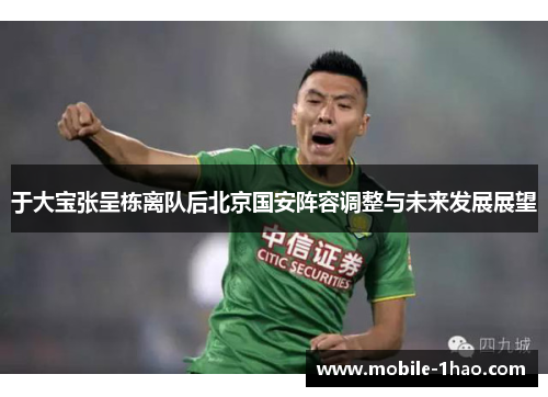 于大宝张呈栋离队后北京国安阵容调整与未来发展展望 于大宝张呈栋离队后北京国安阵容调整与未来发展展望