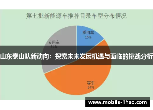 山东泰山队新动向:探索未来发展机遇与面临的挑战分析 山东泰山队新动向:探索未来发展机遇与面临的挑战分析