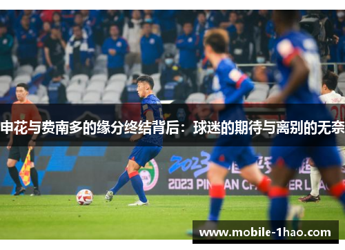申花与费南多的缘分终结背后：球迷的期待与离别的无奈