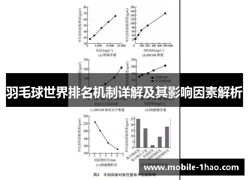 羽毛球世界排名机制详解及其影响因素解析 羽毛球世界排名机制详解及其影响因素解析