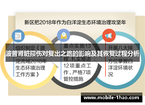 波普肾脏损伤对复出之路的影响及其恢复过程分析