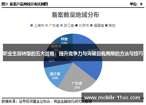 职业生涯转型的五大战略:提升竞争力与突破自我局限的方法与技巧 职业生涯转型的五大战略:提升竞争力与突破自我局限的方法与技巧