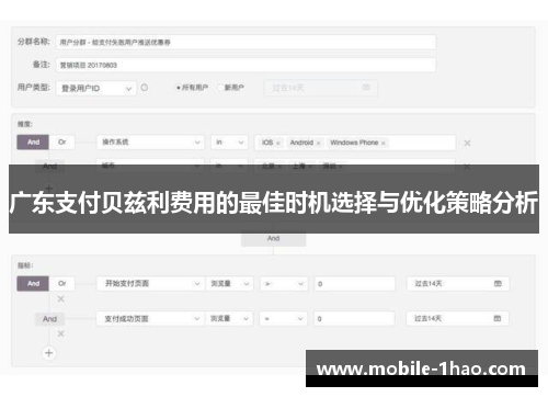 广东支付贝兹利费用的最佳时机选择与优化策略分析 广东支付贝兹利费用的最佳时机选择与优化策略分析
