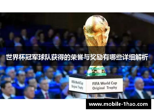 世界杯冠军球队获得的荣誉与奖励有哪些详细解析 世界杯冠军球队获得的荣誉与奖励有哪些详细解析