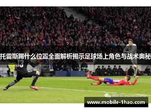 托雷斯踢什么位置全面解析揭示足球场上角色与战术奥秘 托雷斯踢什么位置全面解析揭示足球场上角色与战术奥秘