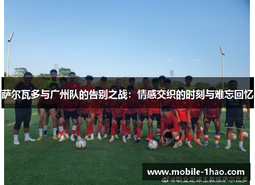 萨尔瓦多与广州队的告别之战:情感交织的时刻与难忘回忆 萨尔瓦多与广州队的告别之战:情感交织的时刻与难忘回忆