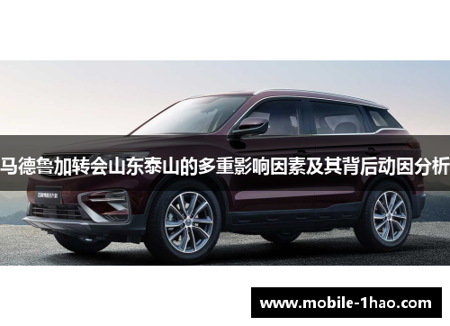 马德鲁加转会山东泰山的多重影响因素及其背后动因分析