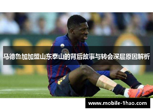 马德鲁加加盟山东泰山的背后故事与转会深层原因解析