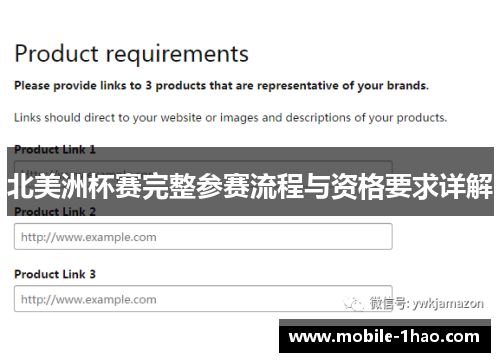 北美洲杯赛完整参赛流程与资格要求详解 北美洲杯赛完整参赛流程与资格要求详解