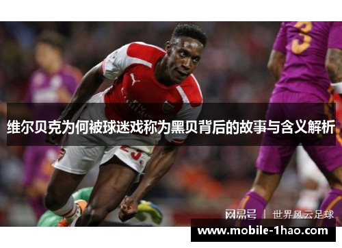 维尔贝克为何被球迷戏称为黑贝背后的故事与含义解析