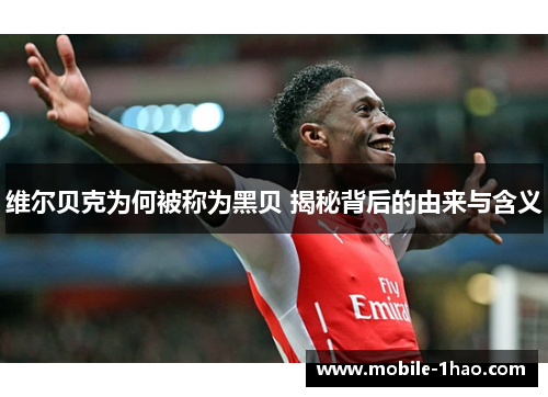 维尔贝克为何被称为黑贝 揭秘背后的由来与含义 维尔贝克为何被称为黑贝 揭秘背后的由来与含义