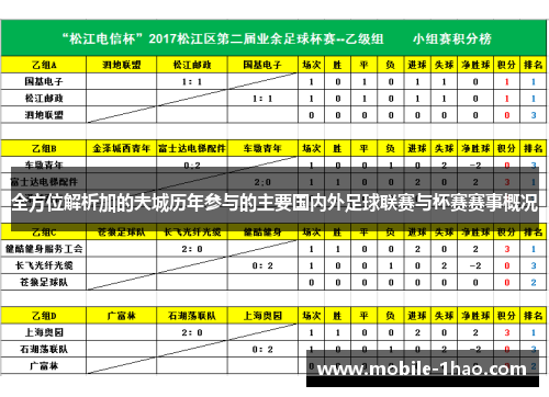 全方位解析加的夫城历年参与的主要国内外足球联赛与杯赛赛事概况 全方位解析加的夫城历年参与的主要国内外足球联赛与杯赛赛事概况