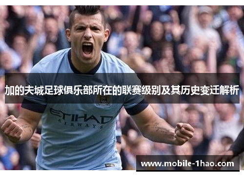 加的夫城足球俱乐部所在的联赛级别及其历史变迁解析