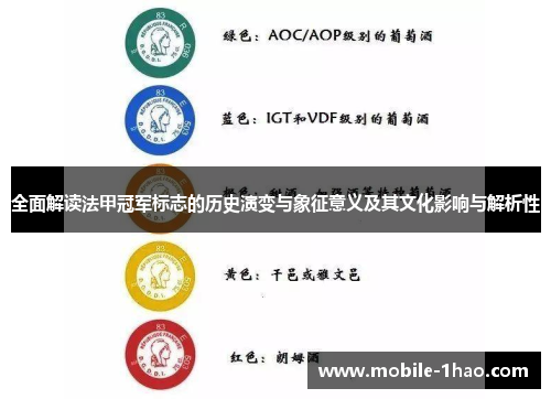 全面解读法甲冠军标志的历史演变与象征意义及其文化影响与解析性