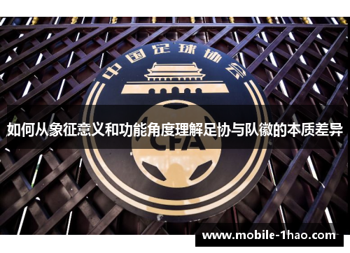 如何从象征意义和功能角度理解足协与队徽的本质差异