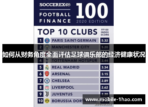 如何从财务角度全面评估足球俱乐部的经济健康状况