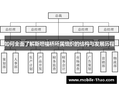 如何全面了解斯坦福桥所属组织的结构与发展历程