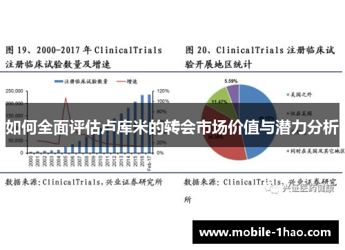 如何全面评估卢库米的转会市场价值与潜力分析