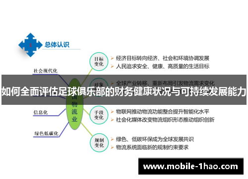 如何全面评估足球俱乐部的财务健康状况与可持续发展能力