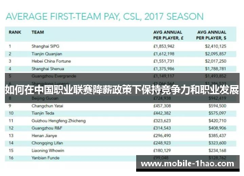 如何在中国职业联赛降薪政策下保持竞争力和职业发展