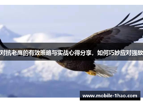 对抗老鹰的有效策略与实战心得分享,如何巧妙应对强敌 对抗老鹰的有效策略与实战心得分享,如何巧妙应对强敌