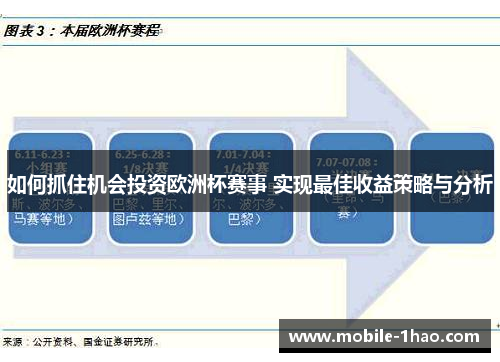 如何抓住机会投资欧洲杯赛事 实现最佳收益策略与分析 如何抓住机会投资欧洲杯赛事 实现最佳收益策略与分析