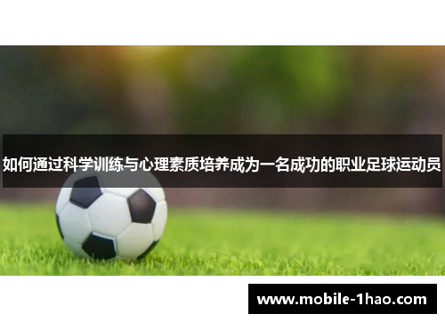 如何通过科学训练与心理素质培养成为一名成功的职业足球运动员