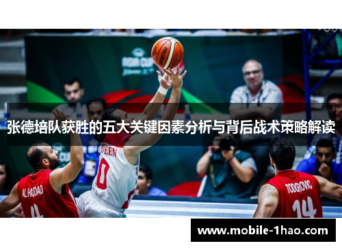 张德培队获胜的五大关键因素分析与背后战术策略解读