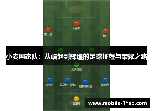 小麦国家队:从崛起到辉煌的足球征程与荣耀之路 小麦国家队:从崛起到辉煌的足球征程与荣耀之路