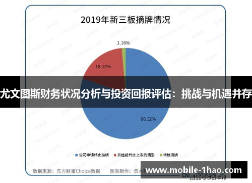 尤文图斯财务状况分析与投资回报评估:挑战与机遇并存 尤文图斯财务状况分析与投资回报评估:挑战与机遇并存