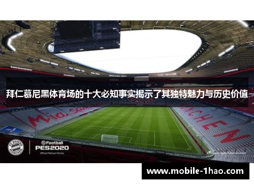 拜仁慕尼黑体育场的十大必知事实揭示了其独特魅力与历史价值 拜仁慕尼黑体育场的十大必知事实揭示了其独特魅力与历史价值